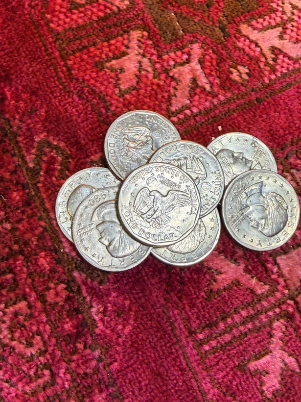 تک سکه یک دلار سوزان آنتونی رایج ایالات متحده آمریکا